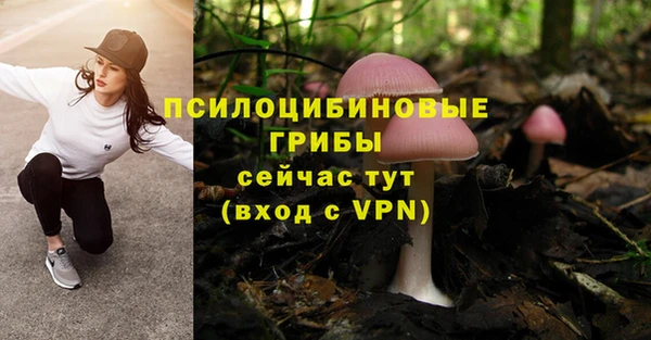 Альфа ПВП Снежинск