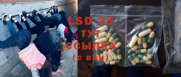 ГАЛЛЮЦИНОГЕННЫЕ ГРИБЫ Алексеевка