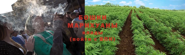 ГАЛЛЮЦИНОГЕННЫЕ ГРИБЫ Алзамай