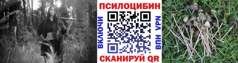 кракен ССЫЛКА  Бронницы  Галлюциногенные грибы Psilocybine cubensis 
