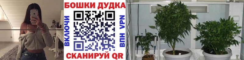 купить наркотик Бронницы МАРИХУАНА SATIVA & INDICA